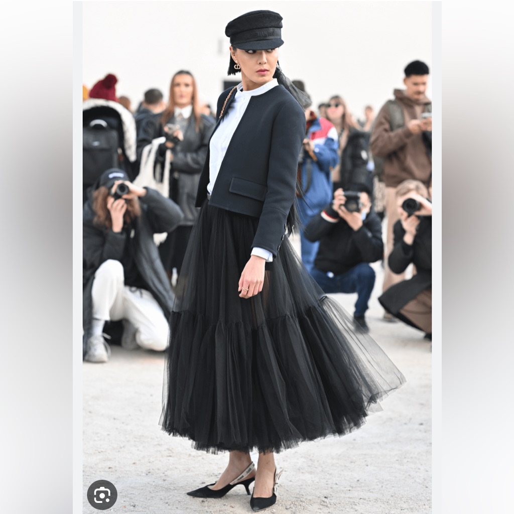 Dior Mid-Length Pleated Tulle Skirt
